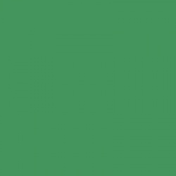 BS381-262 Bold Green Aerosol Paint